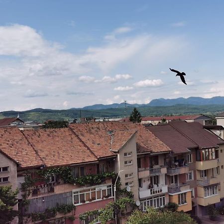 Apartament Carla-Maria เดวา ภายนอก รูปภาพ